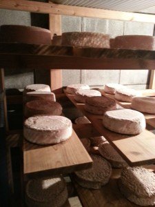 cheese_factory _3